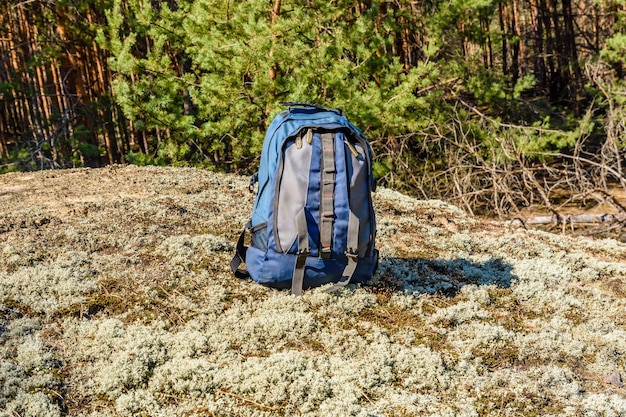 Foto zaino su un terreno in una foresta di conifere