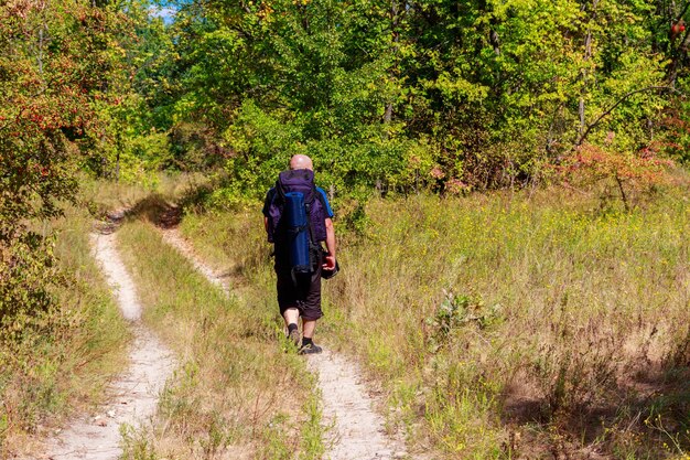 Foto backpacker escursionismo sulla strada sterrata nella foresta verde vista posteriore