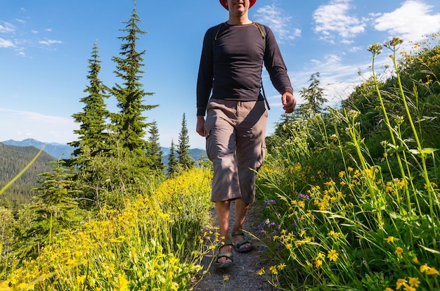 Backpacker in de zomerbergen