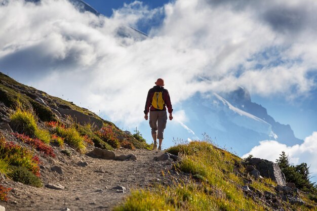 Backpacker in de zomerbergen