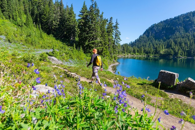 Backpacker in the summer mountains