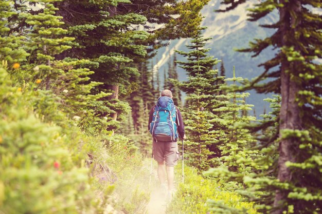 Photo backpacker in summer mountains