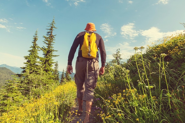 Photo backpacker in the summer mountains