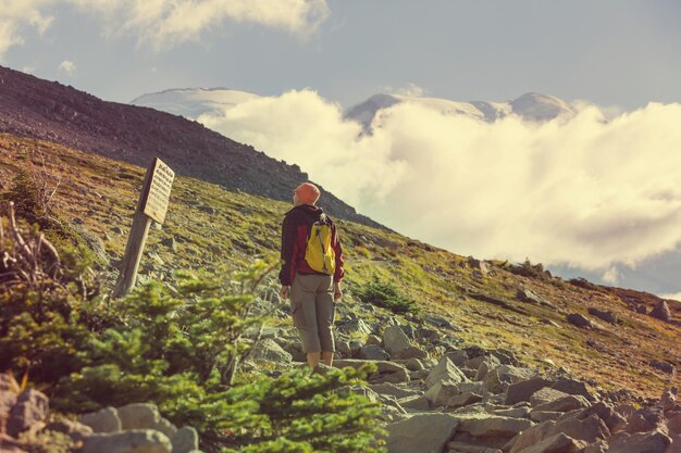 Backpacker in the summer mountains