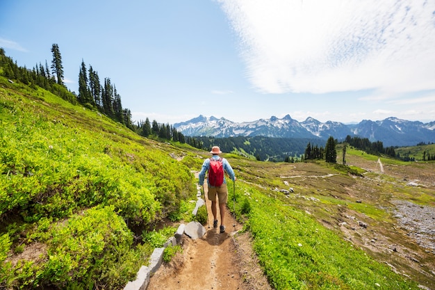 Backpacker in the summer mountains