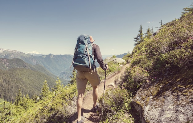 Backpacker tijdens een wandeling in de zomerbergen