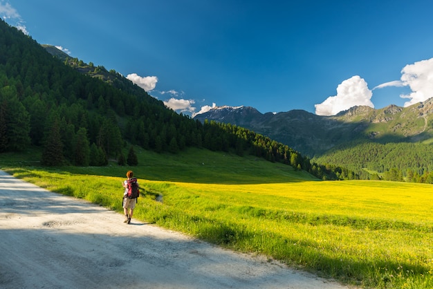 Backpacker wandelen in idyllisch landschap. Zomeravonturen en verkenning van de Alpen, door bloeiende weide en groen bos, te midden van hooggelegen bergketen bij zonsondergang