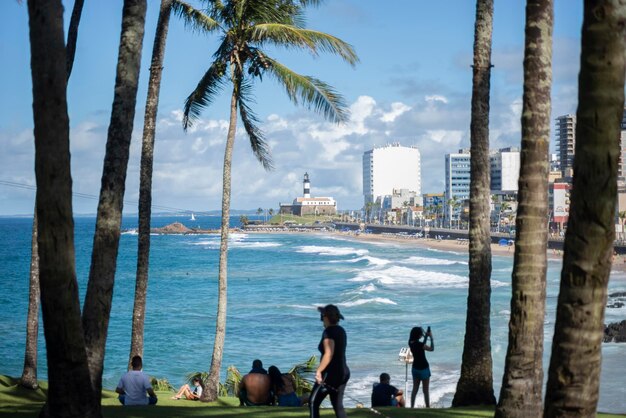 Backside of several people against the beach landscape