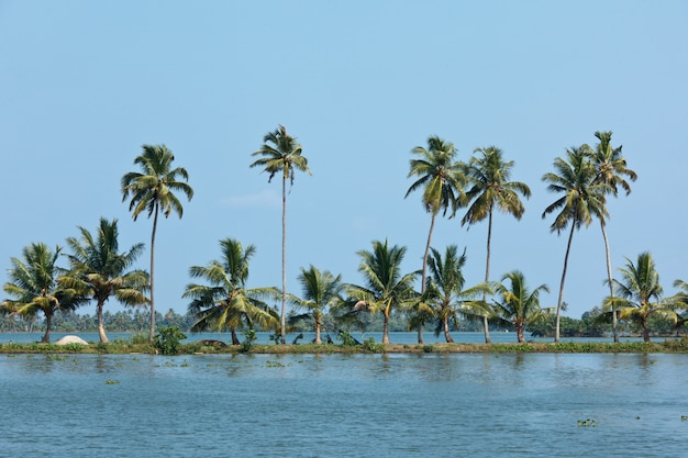 Backwaters van Kerala