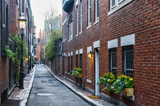 미국 매사추세츠주 보스턴 시내의 비컨 힐(Beacon Hill) 동네 뒷마당.