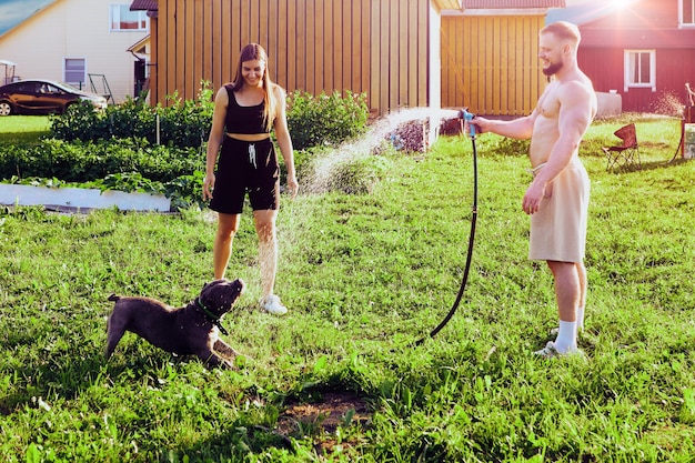 In backyard of country house married couple plays with an american bully dog which catches splashes