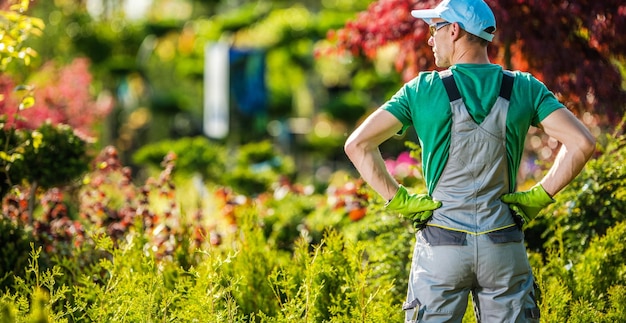 Foto lavoro in giardino sul retro