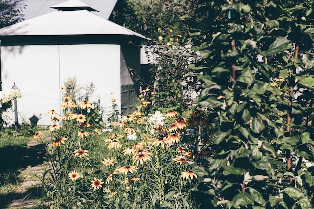 Backyard of rural house with flowerbed