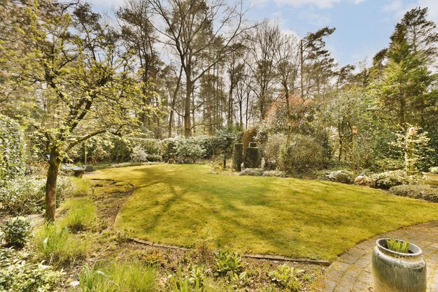 Photo a backyard with a grass lawn and trees