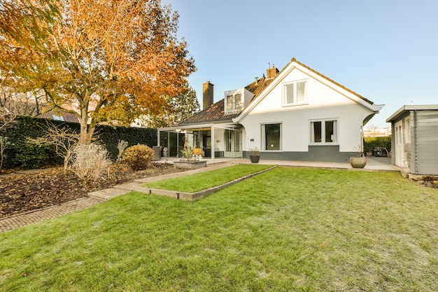 A backyard with a lawn and a house