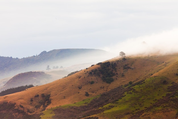 Bad weather fogs on Otago peninsula landscape NZ