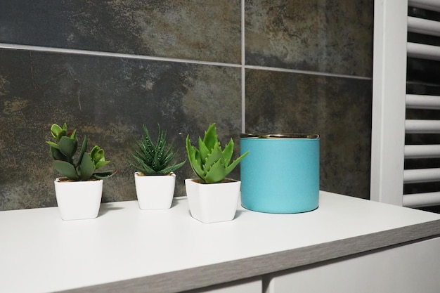 Badkamer decorelementen Een blauwe pot crème en groene planten in kleine witte potten staan op een kastplank Zwarte wandtegels Badkamer en toilet interieur Radiator aan de muur