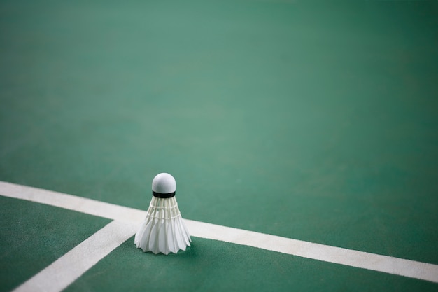 Badminton on the badminton court green background