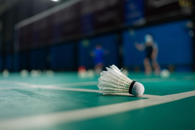 Badminton shuttlecock on a green floor xA