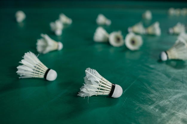 Badminton shuttlecock on a green floor xA