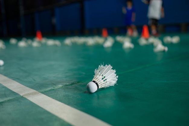 Badmintonshuttle op een groene vloer