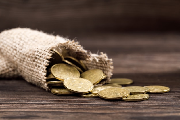 Photo bag of coins