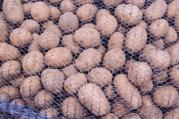 A bag of raw and dirty potatoes. Fresh potatoes close-up in a grid.