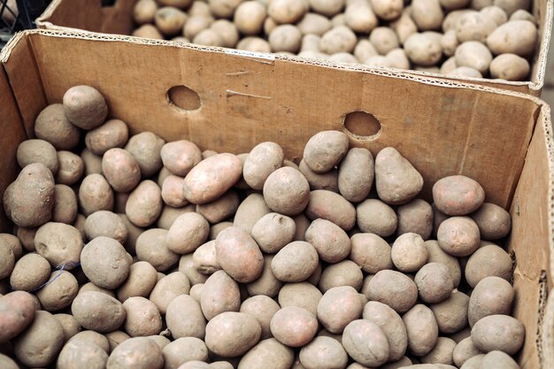 A bag of raw and dirty potatoes. Fresh potatoes close-up in a grid.