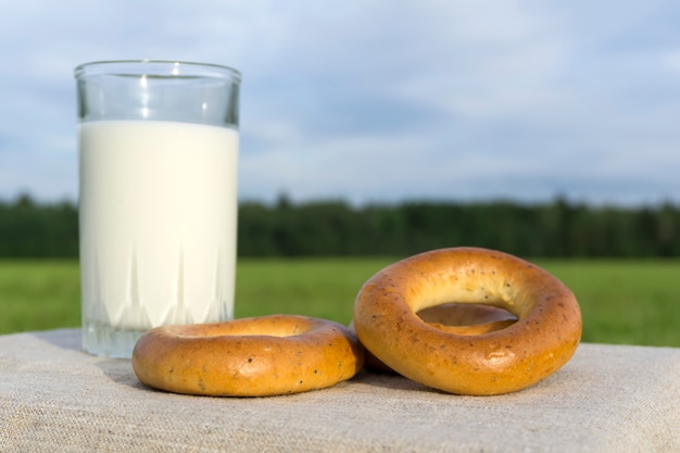 Bagels traditional bread rolls with poppy and a glass of milk on a green meadow background