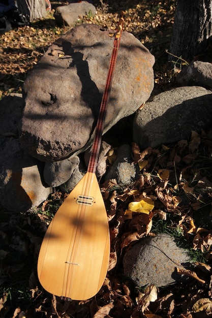 baglama saz Turkish musical instrument