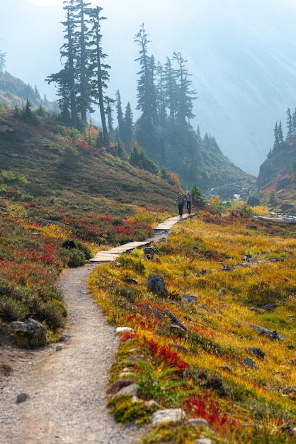 Photo bagley lake hiking trail at mount baker in autumn