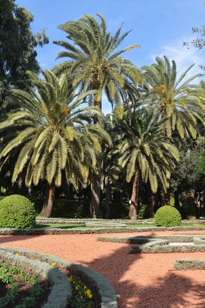 Bahai-tuinen in Haifa