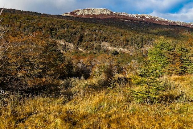 Bahia Ensenada Zarategui Tierra del Fuego 국립 공원 파타고니아 아르헨티나