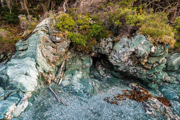 Bahia ensenada zaratiegui tierra del fuego national park patagonia argentina