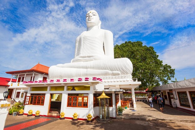 Bahirawa Kanda of Bahirawakanda Vihara Boeddhabeeld in Kandy, Sri Lanka. Bahirawakanda is een gigantisch samadhi-boeddhabeeld op de top van de berg in Kandy.