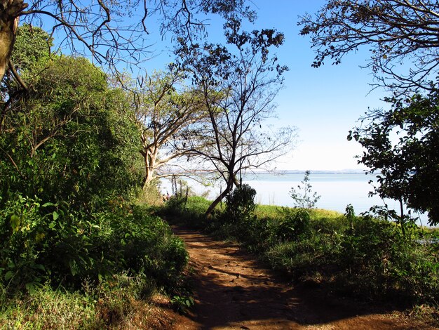 Bahr Dar, Tana lake in Ethiopia, Africa