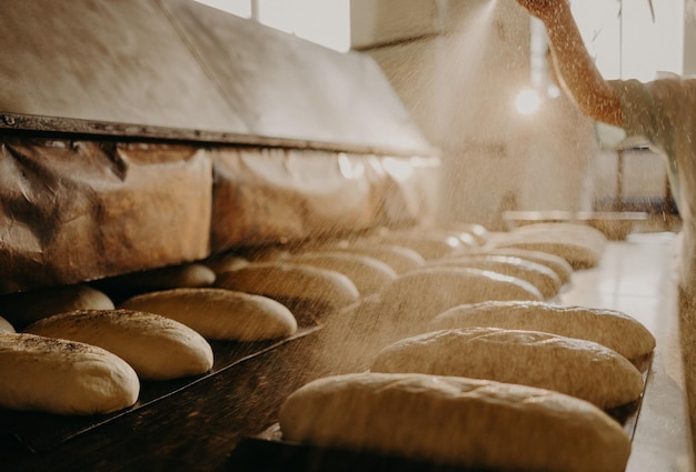 빵집의 생산 라인에서 구운 빵