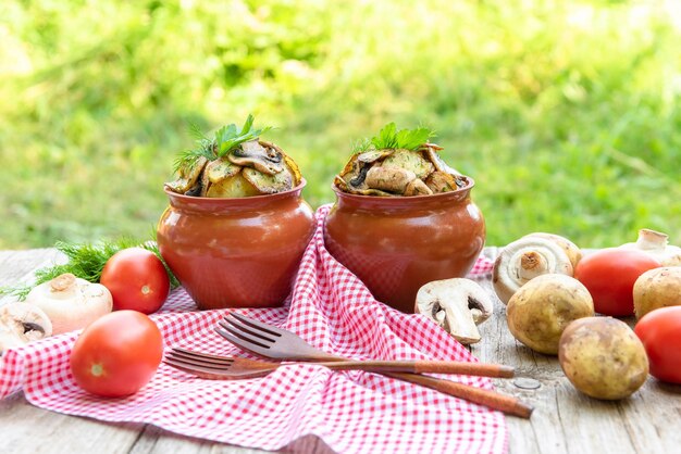 Baked potatoes with chicken and mushrooms with the addition of different seasonings. in clay pots. In nature