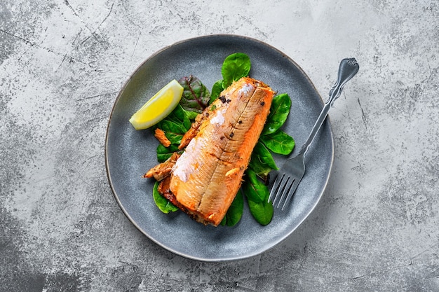 Baked red salmon on the plate with salad