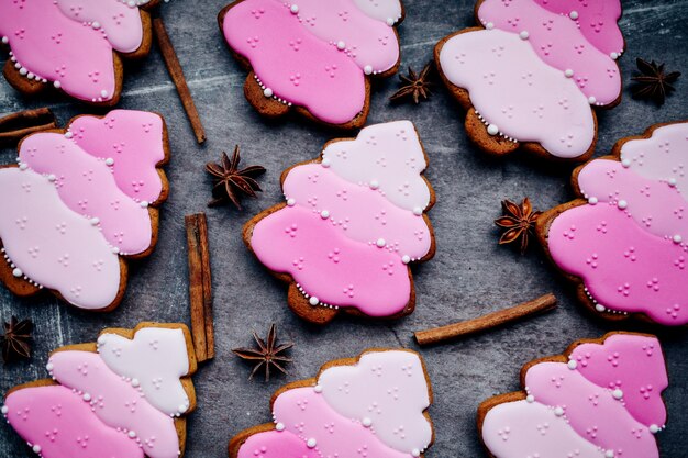 Biscotti di pan di zenzero fatti in casa tradizionali di natale al forno.