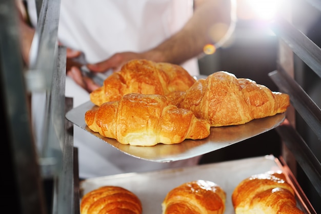 Baker die een dienblad met vers gebakken Franse croissants houdt