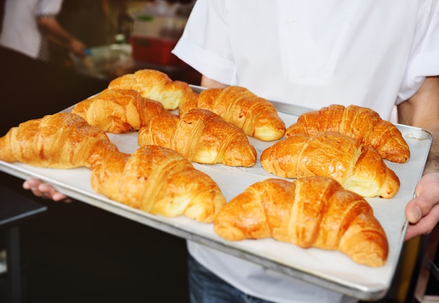 Baker holding a tray with freshly baked French croissants close up