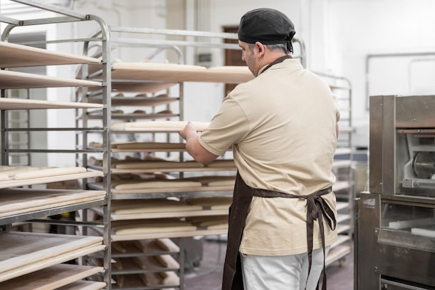 Baker placing tray with formed raw dough on rack trolley ready to bake in the oven High quality photo