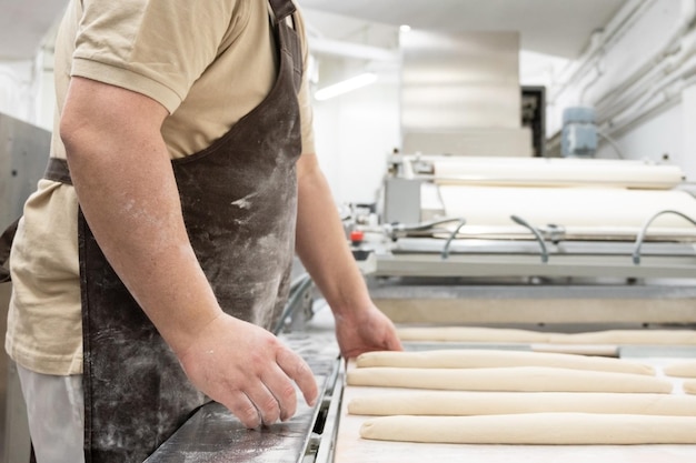 baker working at industrial bakery preparing trays with fresh loaf high quality photo