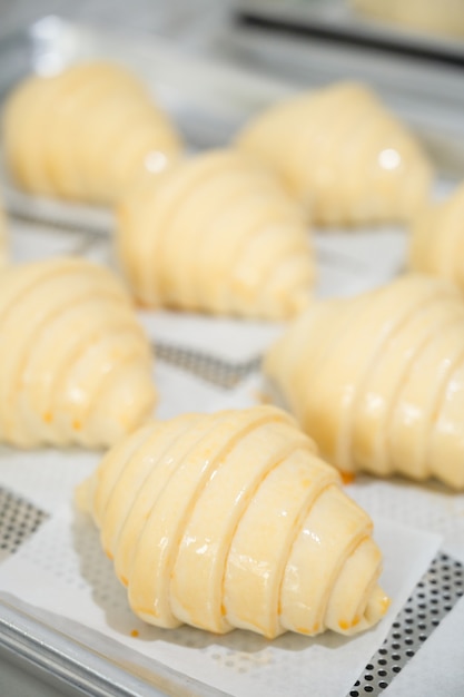 Baking classic croissants at home and brushing egg on uncooked croissants.