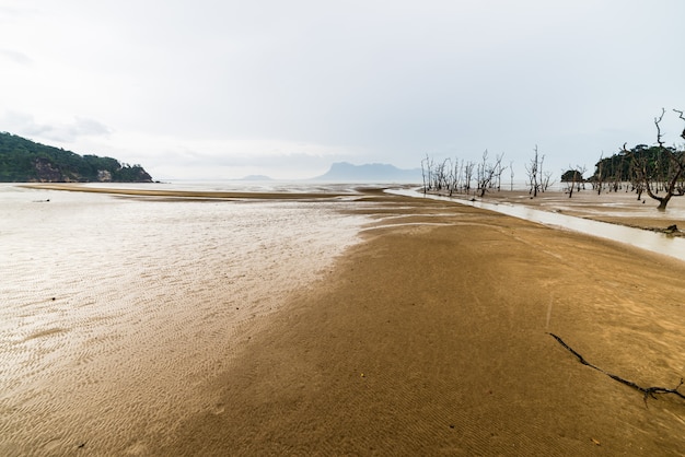 Bako National Park-landschap Borneo Maleisië