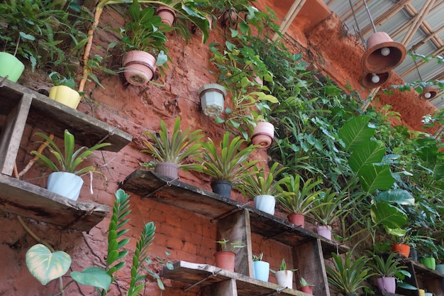 Bakstenen muur staat vol met groene planten