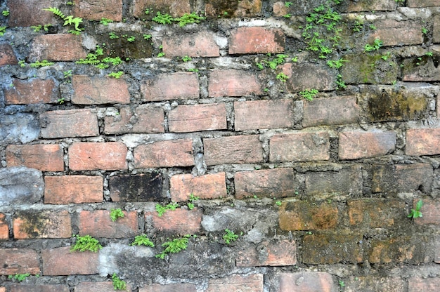 bakstenen muur