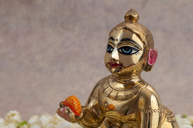 Foto bal krishna laddu gopal statua in ottone lato rivolto verso sfondo bianco