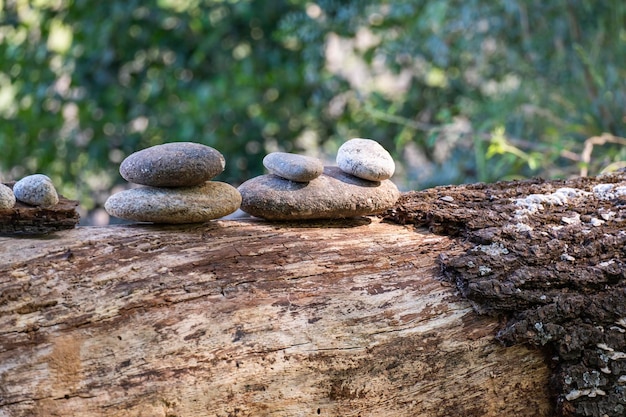 Photo balanced rock zen stack in the middle of a forest